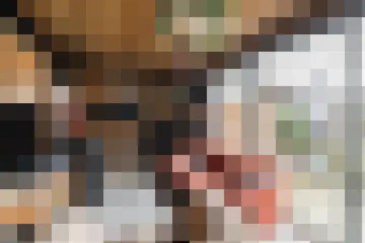 Hulst 13 Geldrop thumbnail 35