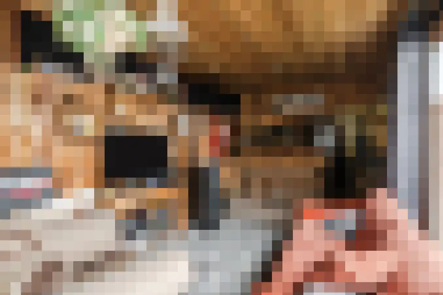 Hulst 13 Geldrop thumbnail 36