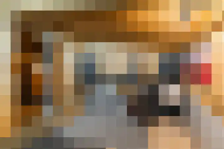 Hulst 13 Geldrop thumbnail 38