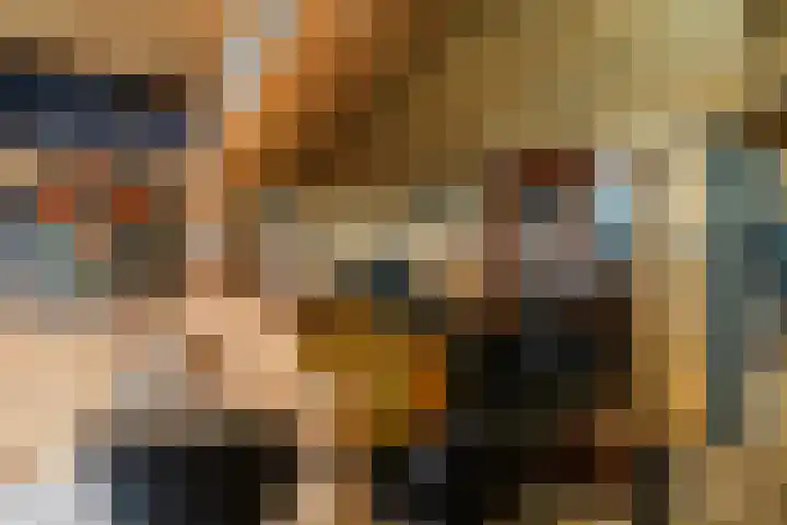 Hulst 13 Geldrop thumbnail 40
