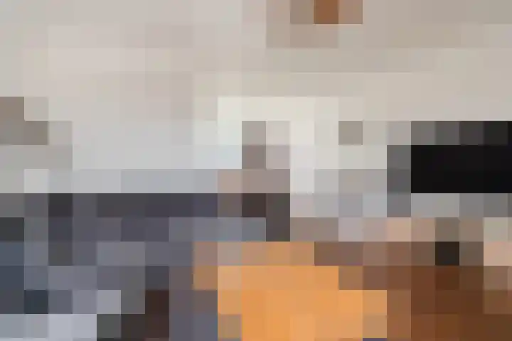 Hulst 13 Geldrop thumbnail 7