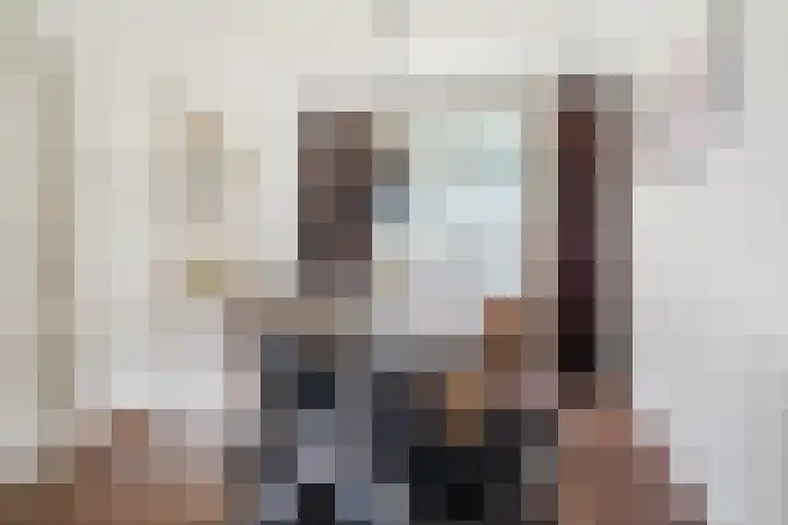 Hulst 13 Geldrop thumbnail 8