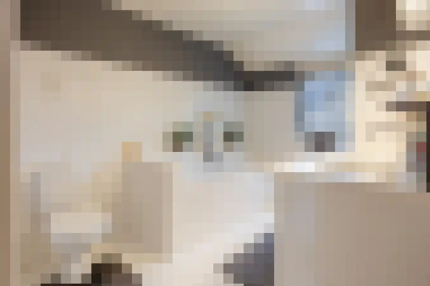 Hulst 19 Best thumbnail 29