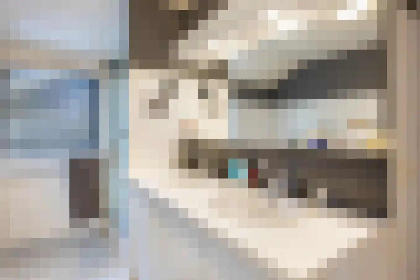 Hulst 19 Best thumbnail 30
