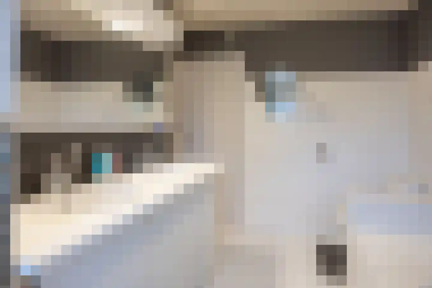 Hulst 19 Best thumbnail 32