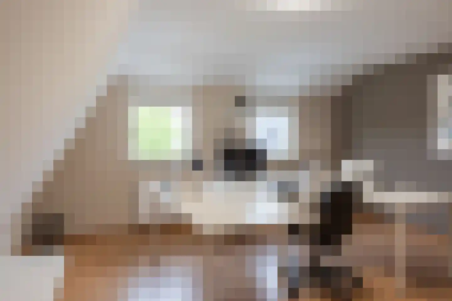 Hulst 19 Best thumbnail 43