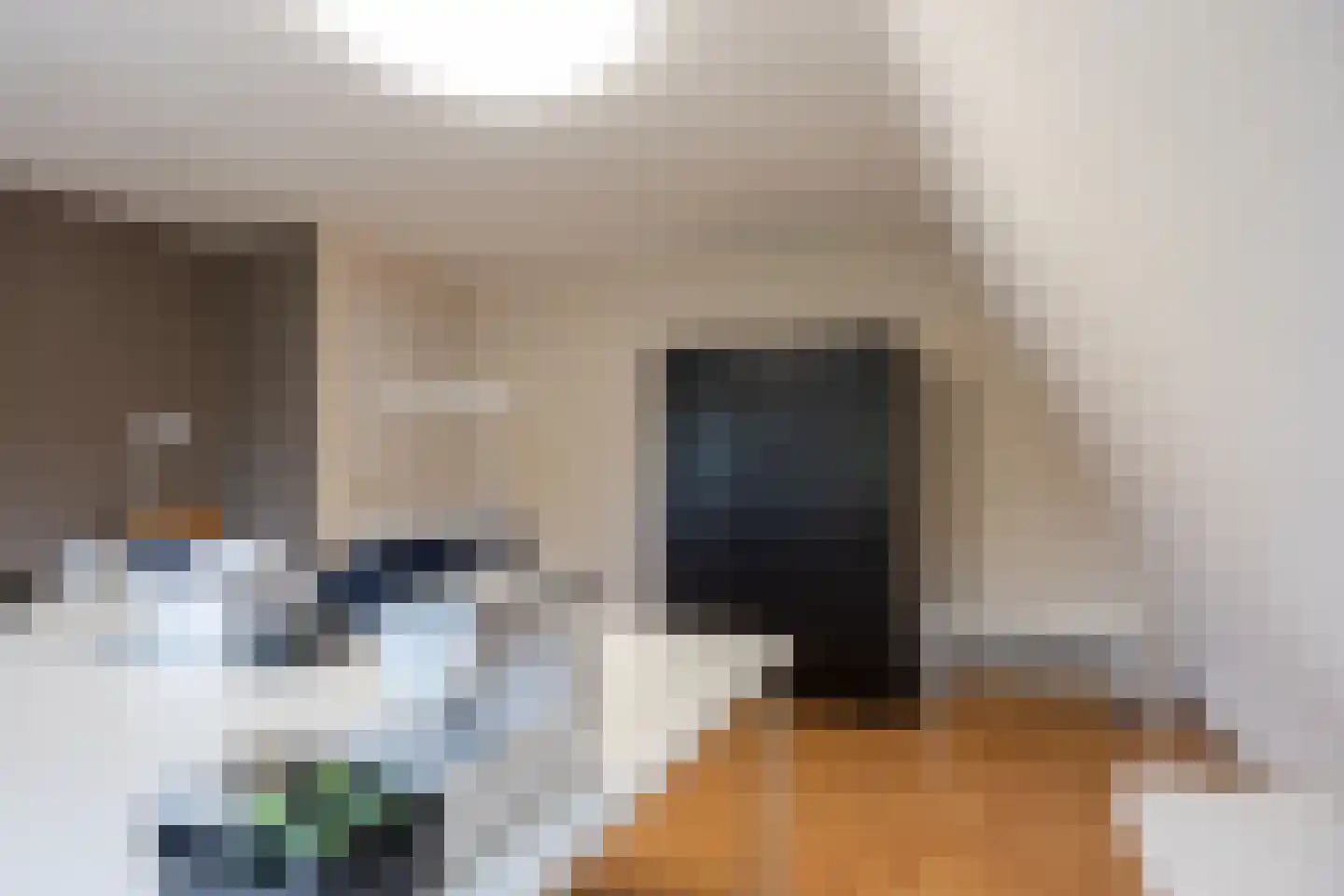 Hulst 19 Best thumbnail 44