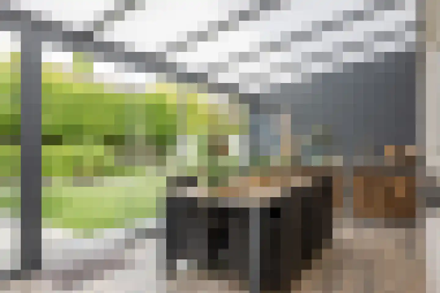 Hulst 19 Best thumbnail 48