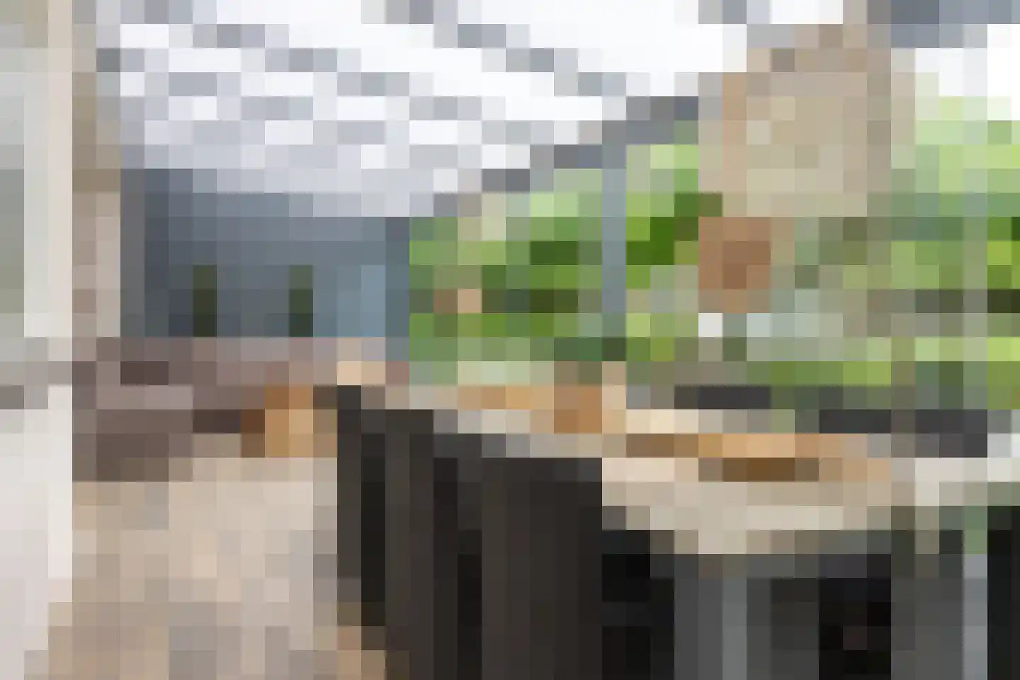 Hulst 19 Best thumbnail 49