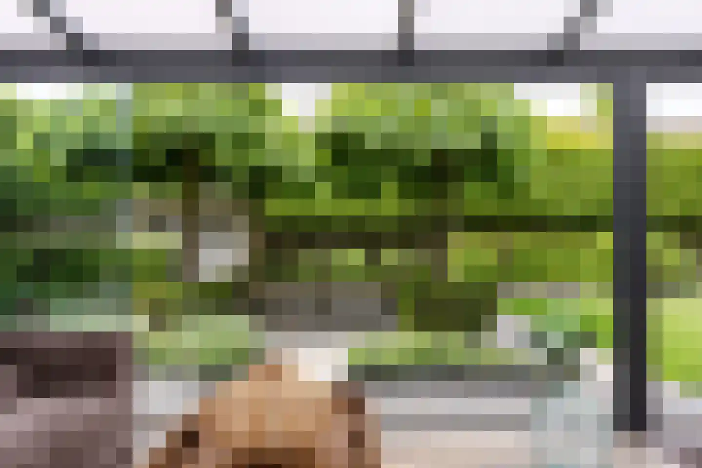 Hulst 19 Best thumbnail 51