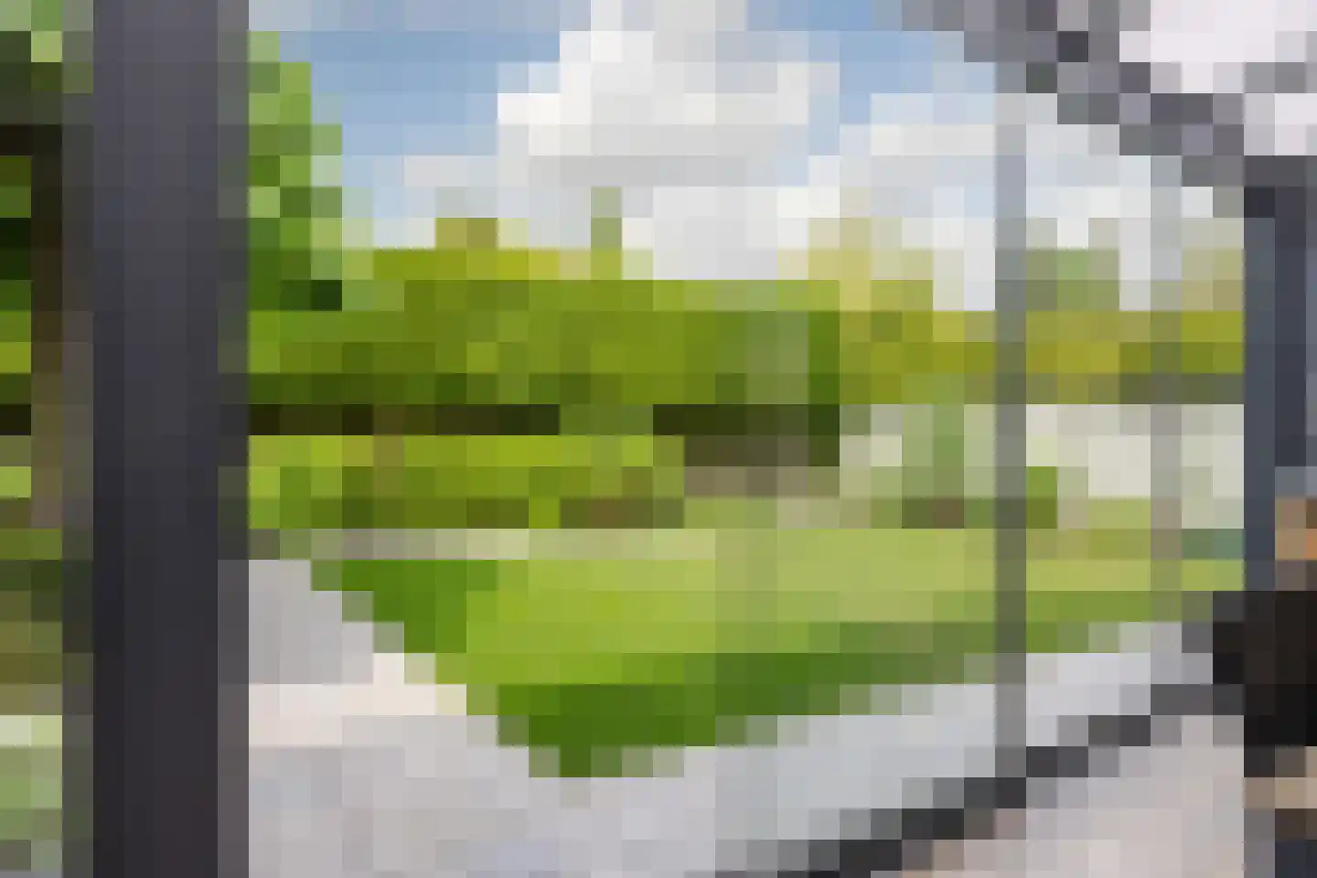 Hulst 19 Best thumbnail 52