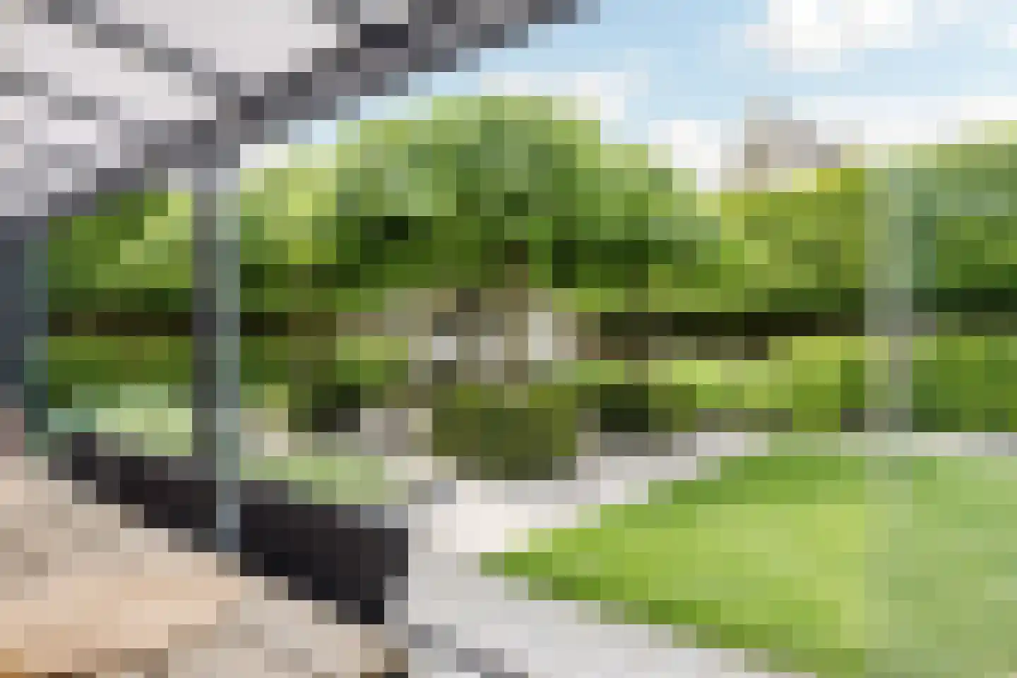 Hulst 19 Best thumbnail 53
