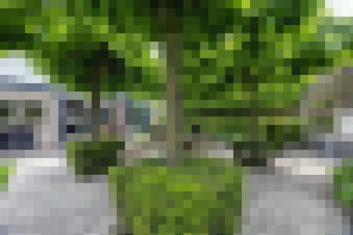 Hulst 19 Best thumbnail 54