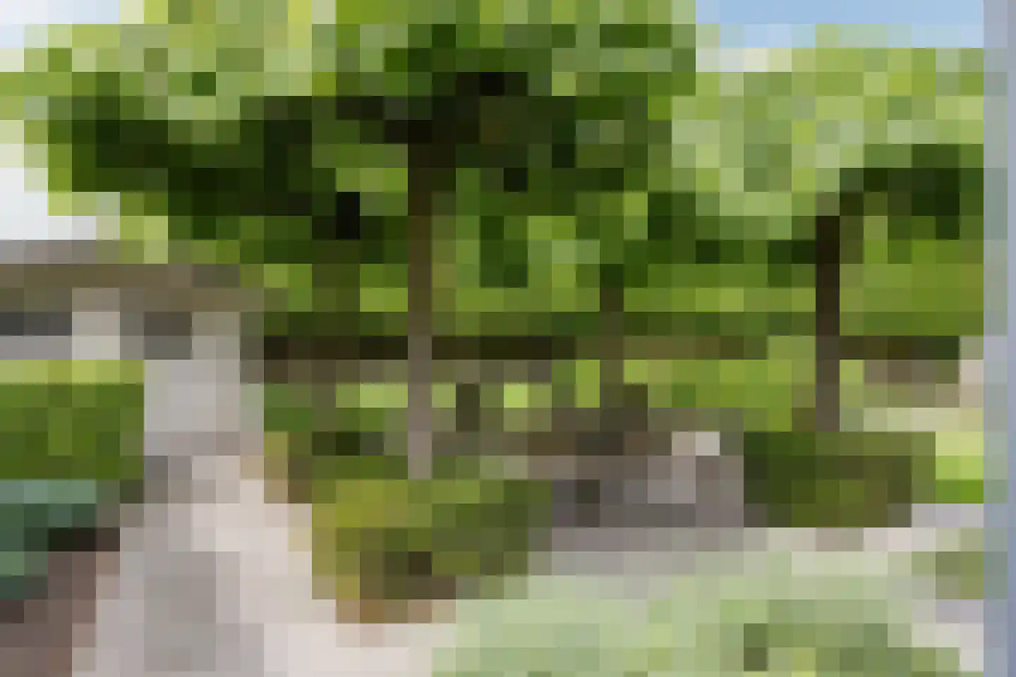 Hulst 19 Best thumbnail 55