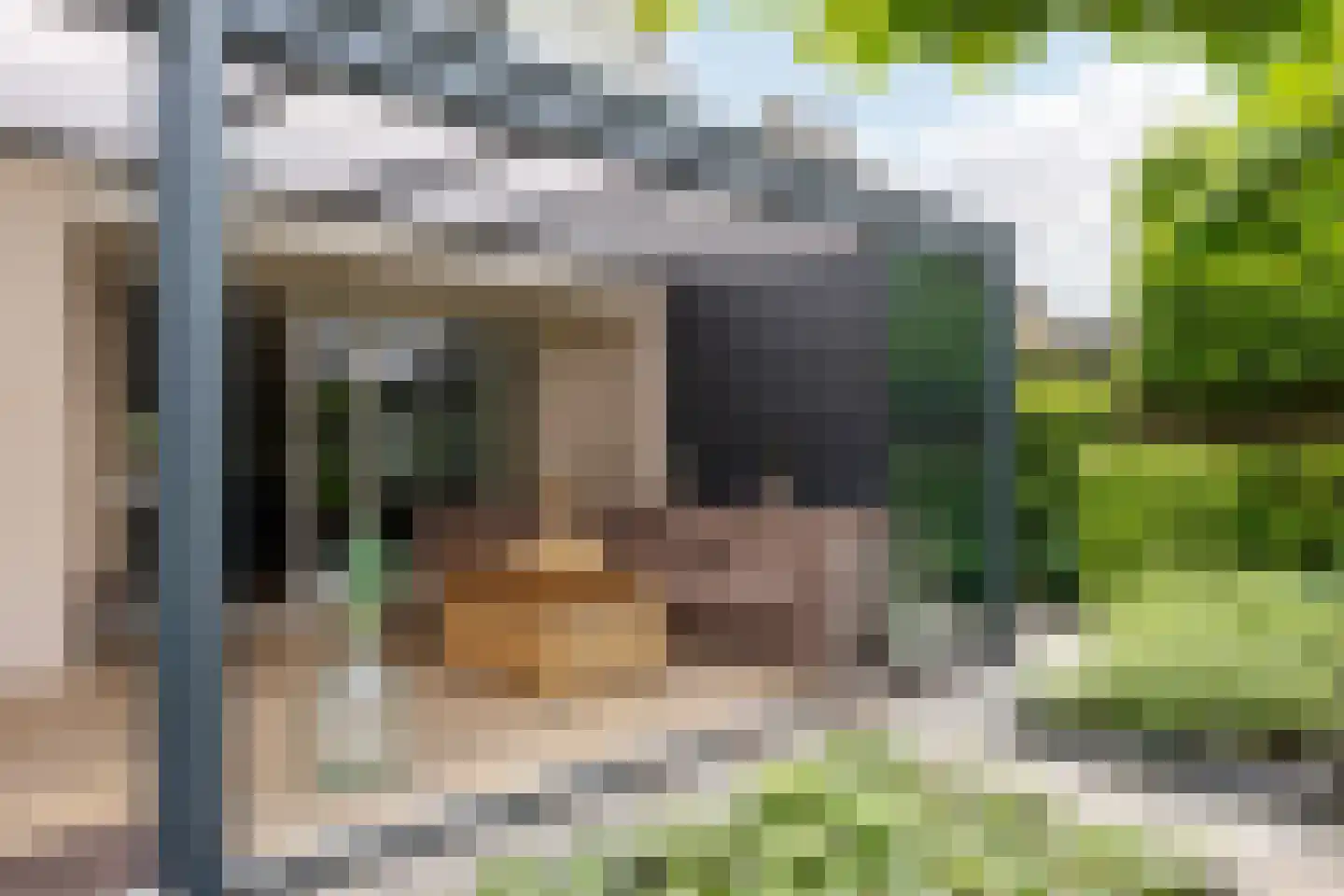 Hulst 19 Best thumbnail 58