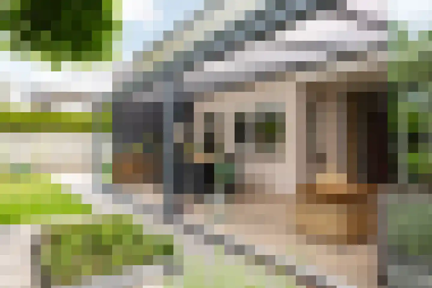 Hulst 19 Best thumbnail 59