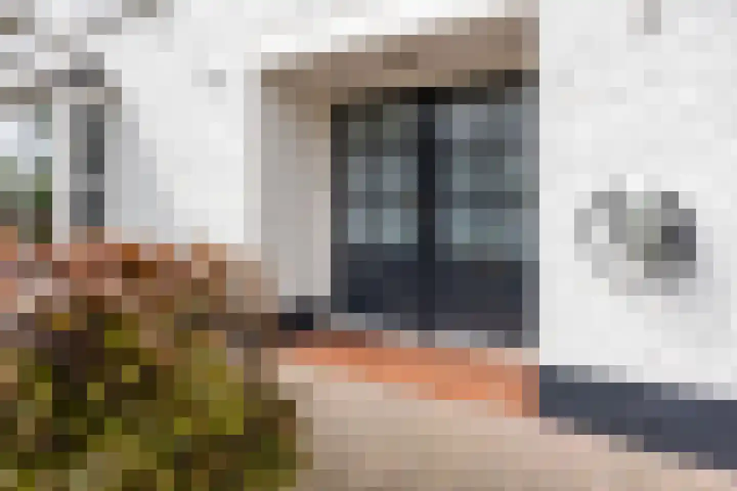 Hulst 19 Best thumbnail 6