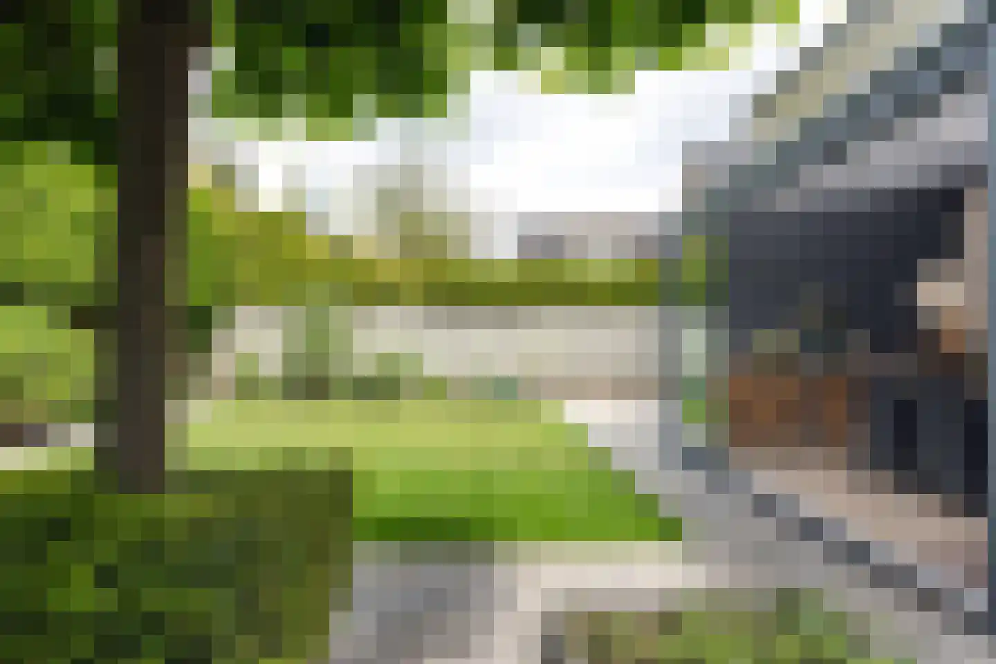 Hulst 19 Best thumbnail 60