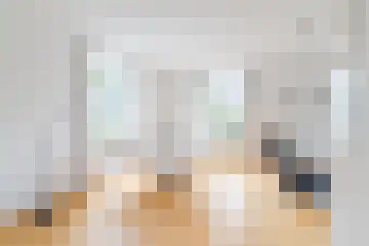 Hulst 28 Best thumbnail 14