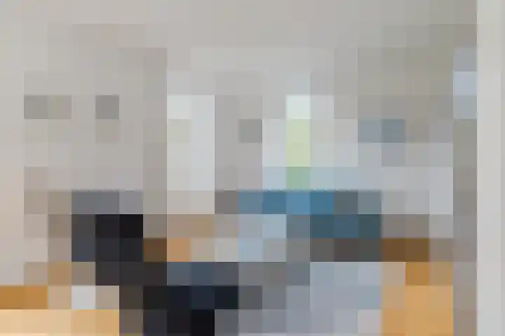Hulst 28 Best thumbnail 17