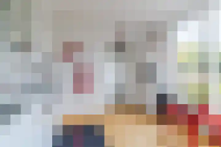 Hulst 28 Best thumbnail 18
