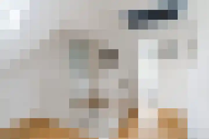 Hulst 28 Best thumbnail 22
