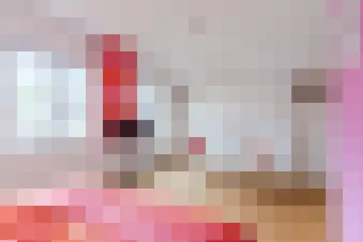 Hulst 28 Best thumbnail 24