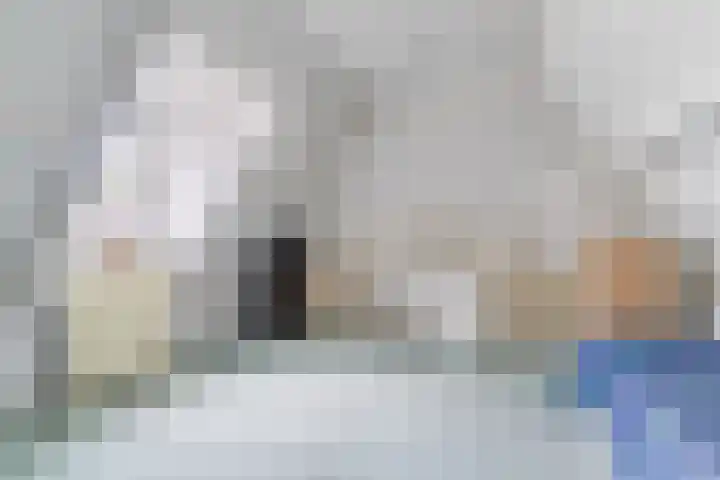 Hulst 28 Best thumbnail 25
