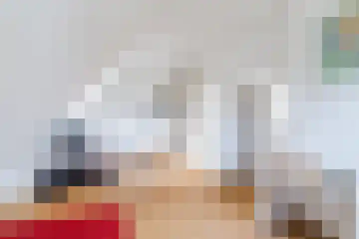 Hulst 28 Best thumbnail 27