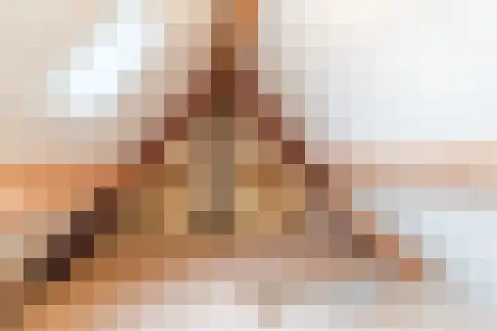Hulst 28 Best thumbnail 32