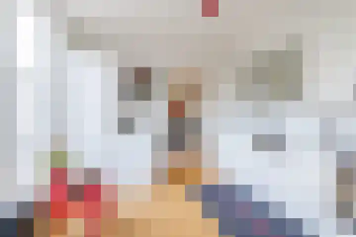 Hulst 28 Best thumbnail 4