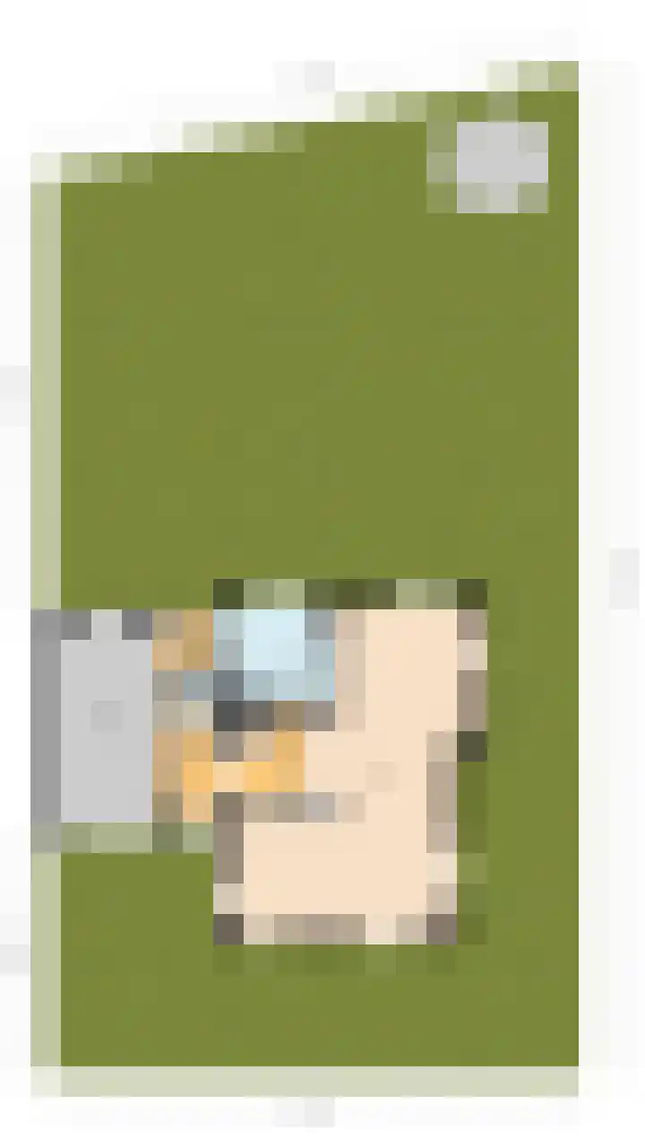 Hulst 28 Best thumbnail 43