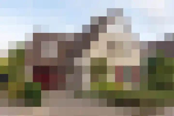 Hulst 28 Best thumbnail 6