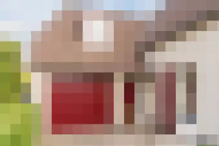 Hulst 28 Best thumbnail 8