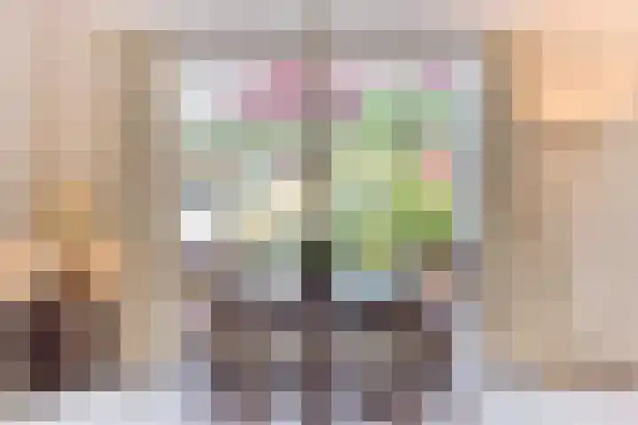 Hulst 33 Best thumbnail 12