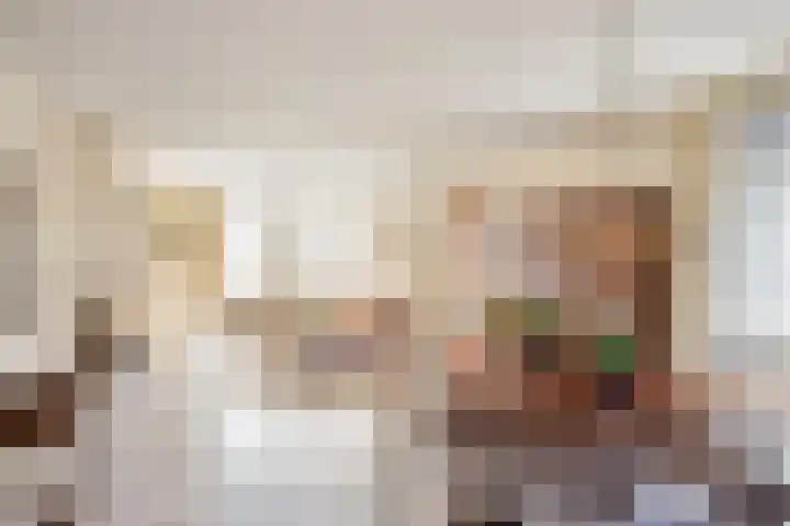 Hulst 33 Best thumbnail 13