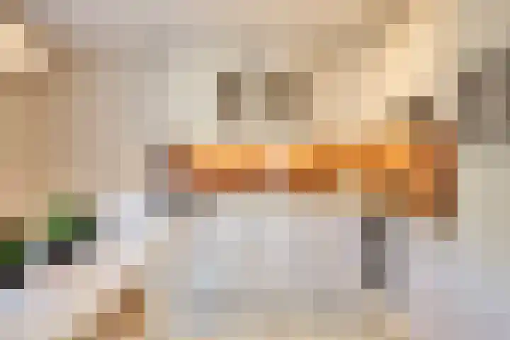 Hulst 33 Best thumbnail 14