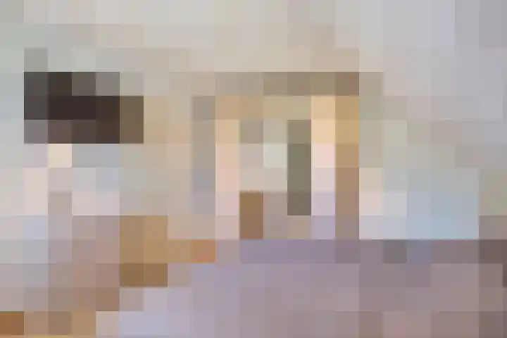 Hulst 33 Best thumbnail 22