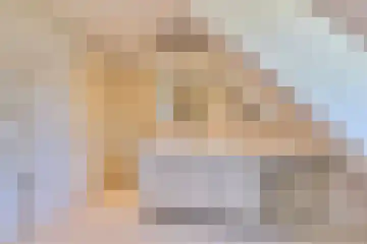 Hulst 33 Best thumbnail 24