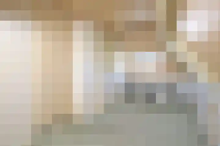 Hulst 33 Best thumbnail 28
