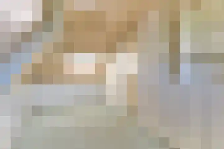 Hulst 33 Best thumbnail 29