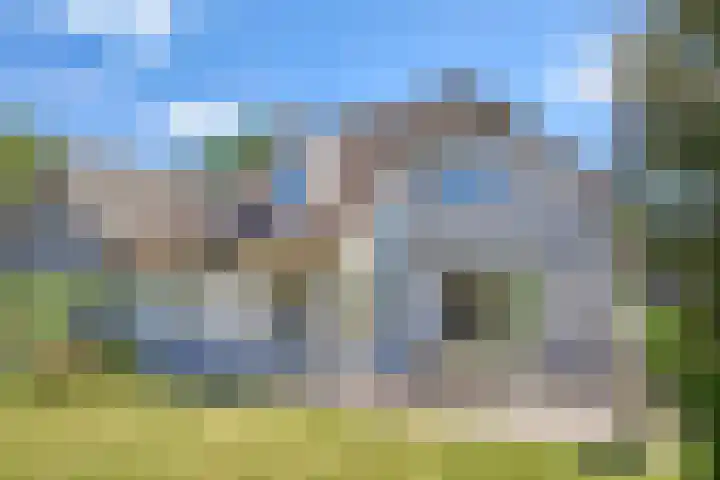 Hulst 33 Best thumbnail 33