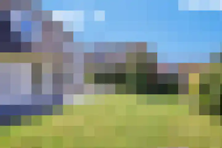 Hulst 33 Best thumbnail 34