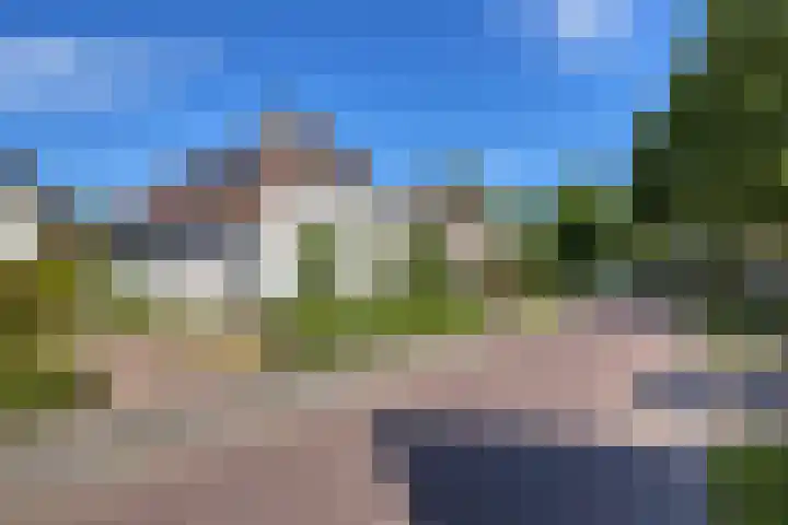 Hulst 33 Best thumbnail 36