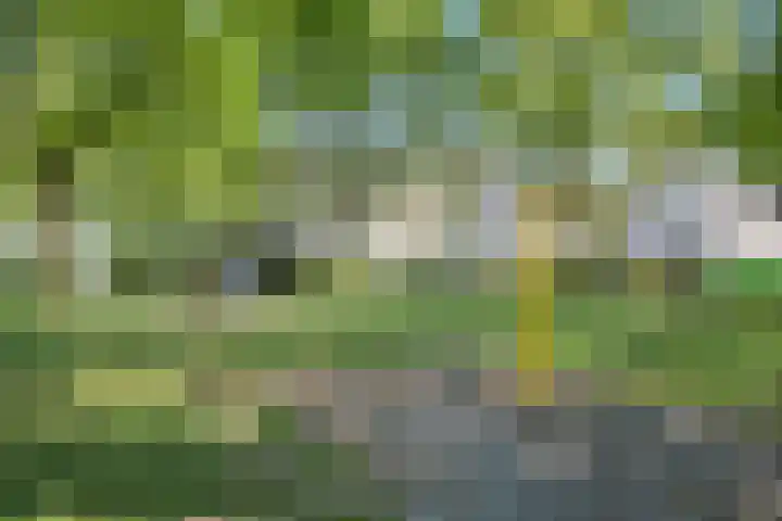 Hulst 33 Best thumbnail 37