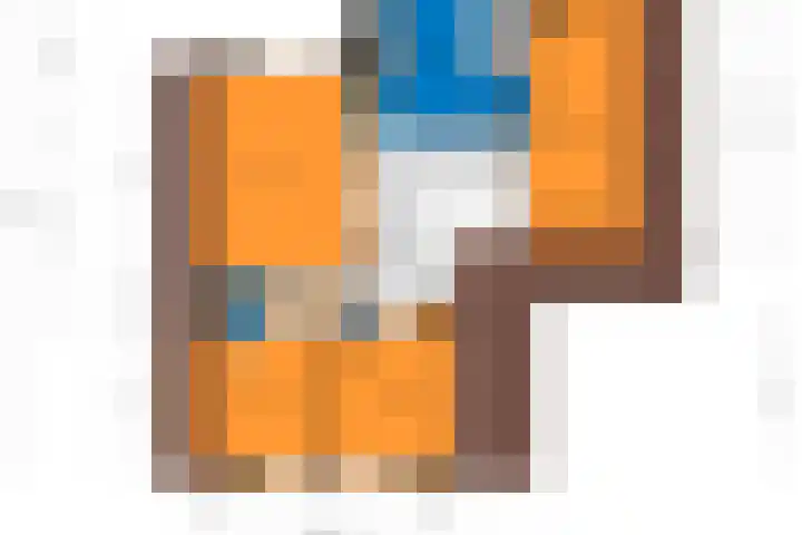 Hulst 33 Best thumbnail 39