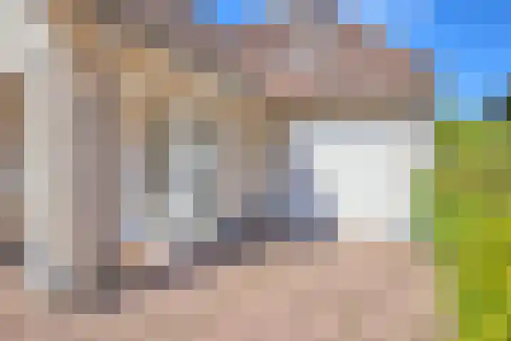 Hulst 33 Best thumbnail 5