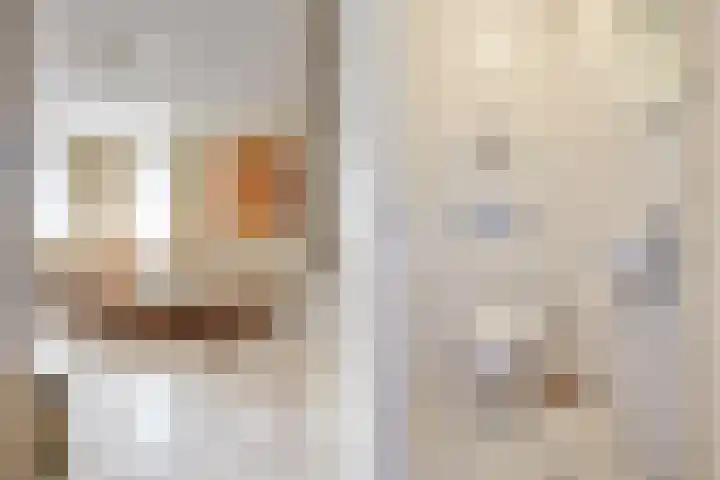 Hulst 33 Best thumbnail 8