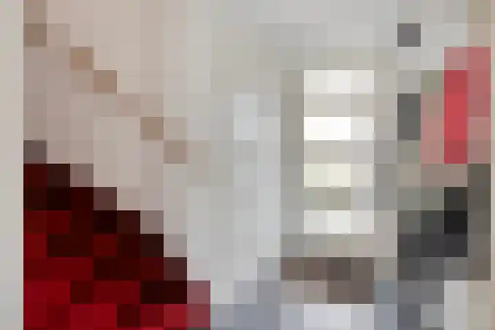 Hulst 4 Cuijk thumbnail 10
