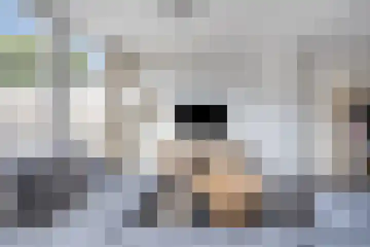 Hulst 4 Cuijk thumbnail 13